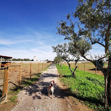 Quinta Do Louredo - Evora Βίλα Εξωτερικό φωτογραφία