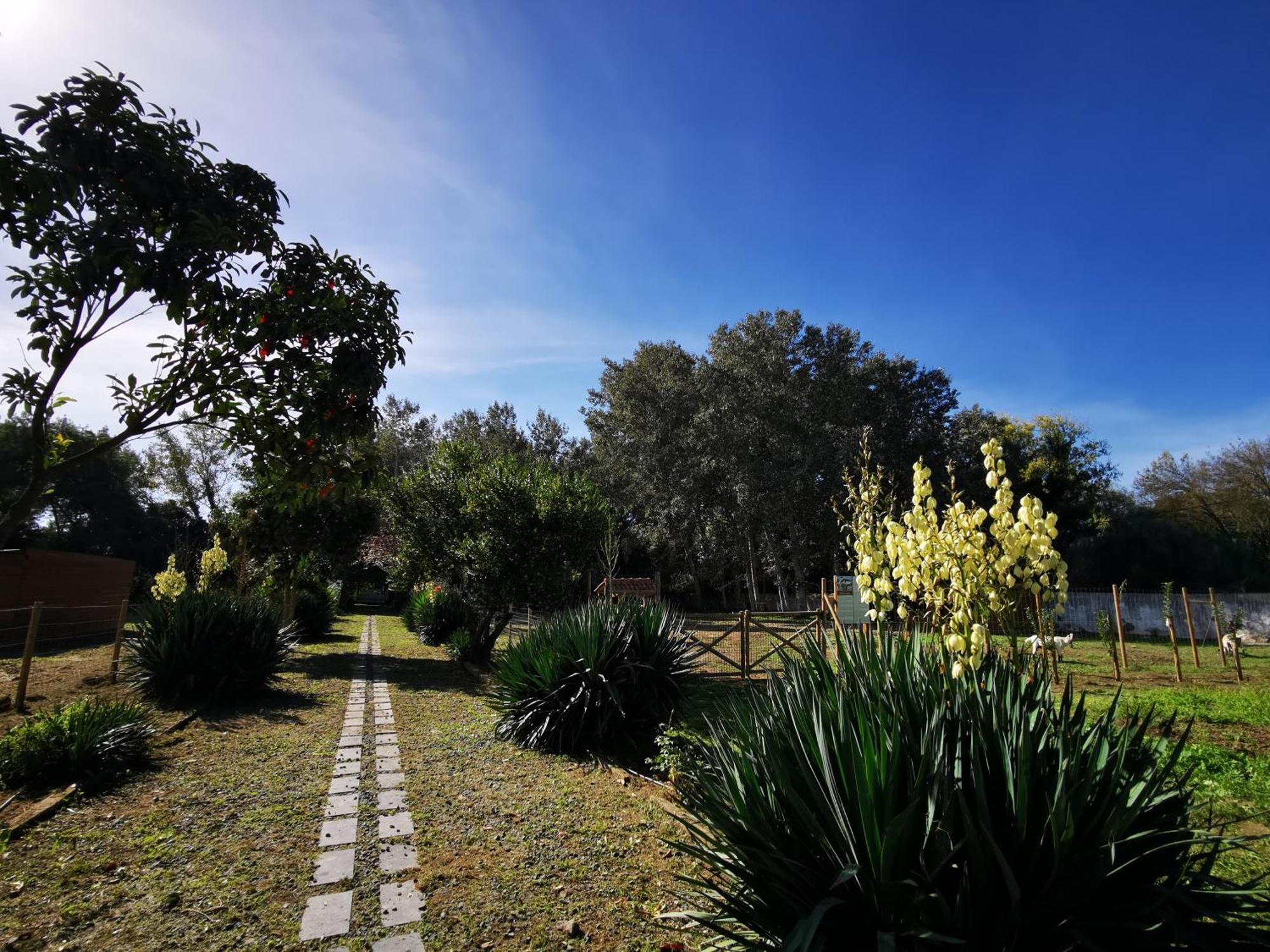 Quinta Do Louredo - Evora Βίλα Εξωτερικό φωτογραφία